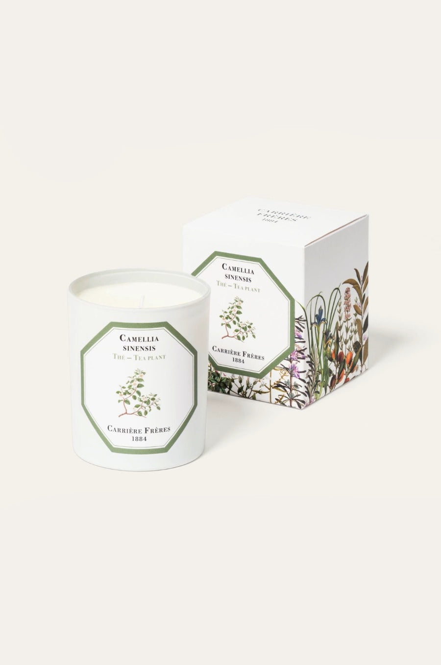 Carriere Freres Tea Plant Candle.